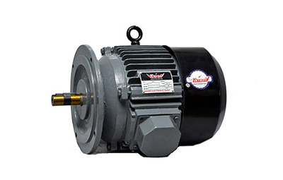 High Torque Motor for T.F.O. Machine Frame : 132S